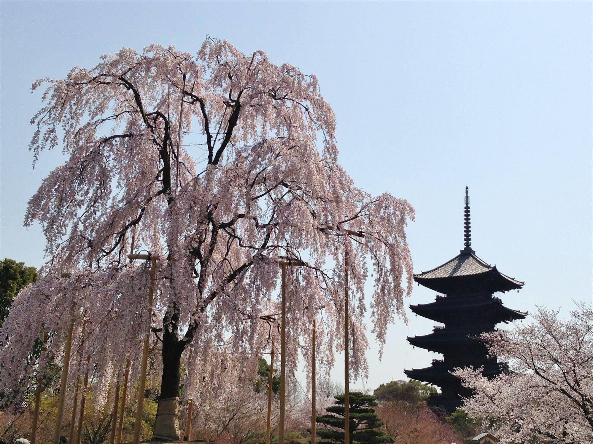 Hotel Livemax Kyoto Gojo Zewnętrze zdjęcie